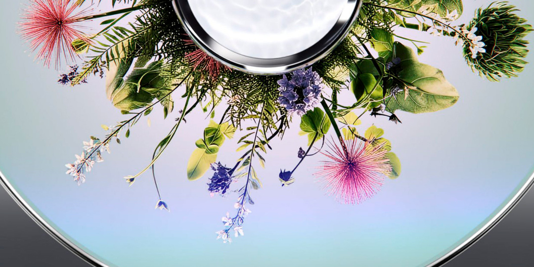 От пруда к саду