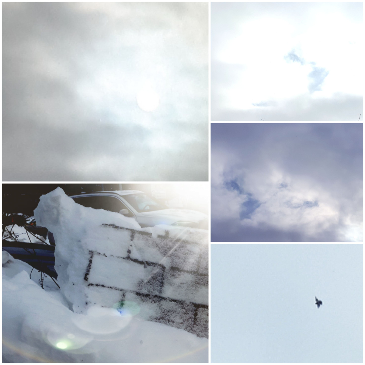 Коллаж автора 10.02.2026г.