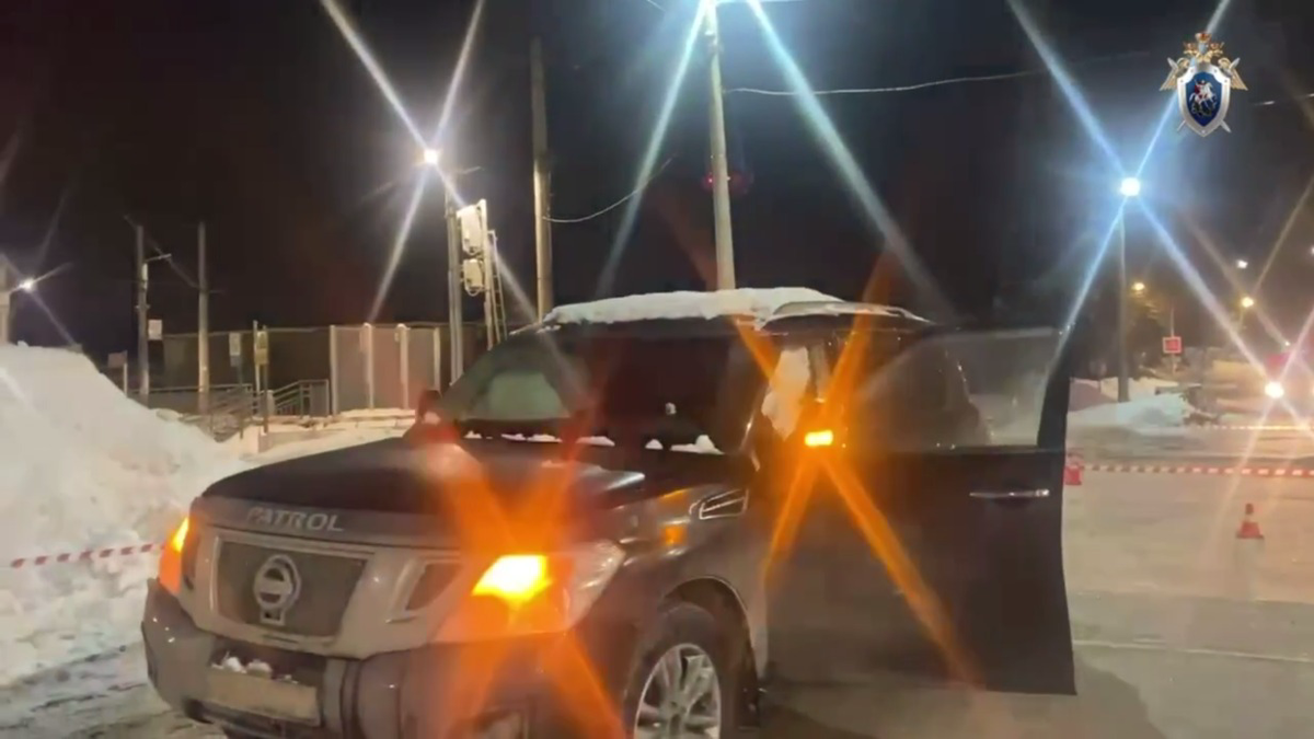    Фото: скриншот / СК Подмосковья / Telegram