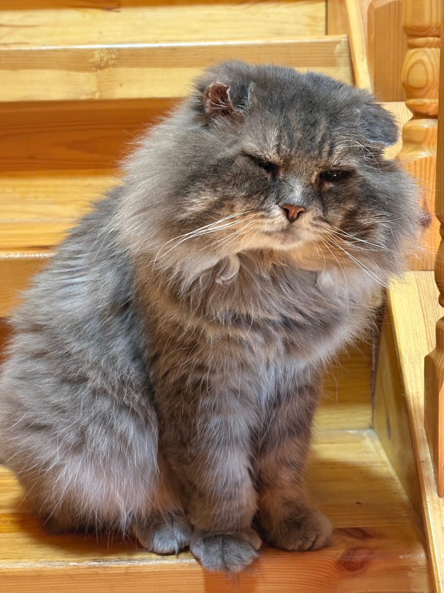 А чего это вы тут делаете? Уже спать давно пора! Везде фото автора.