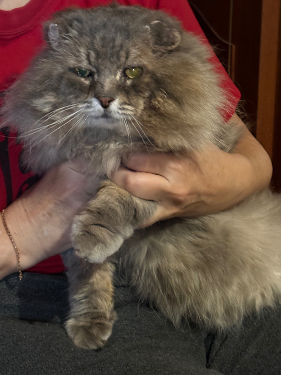 Ну-ка быстро всем спать!