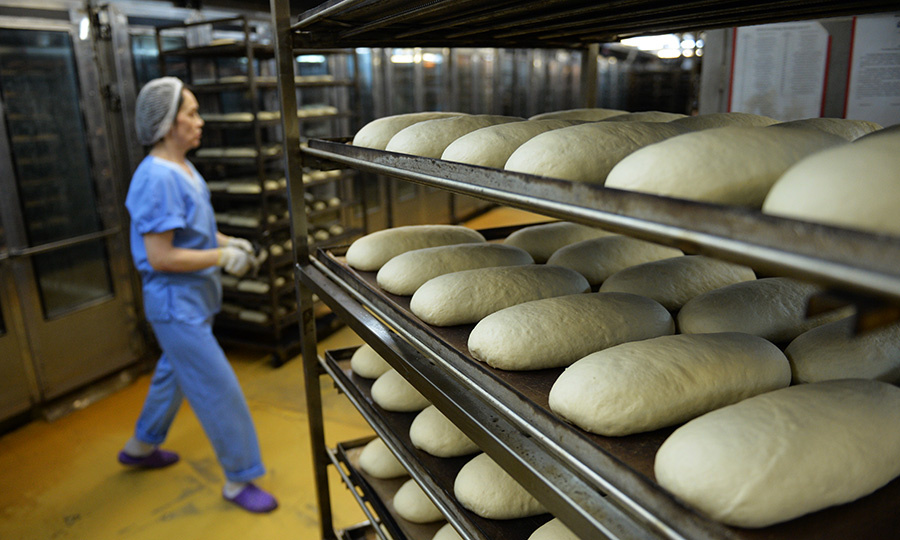    © Павел Лисицын/РИА Новости