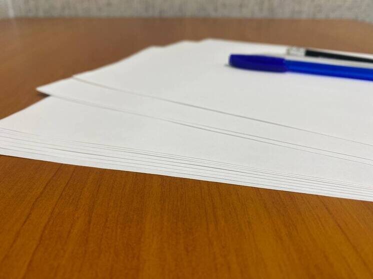     Соцконтракт помог белгородке открыть парикмахерскую, фото: МК в Белгороде