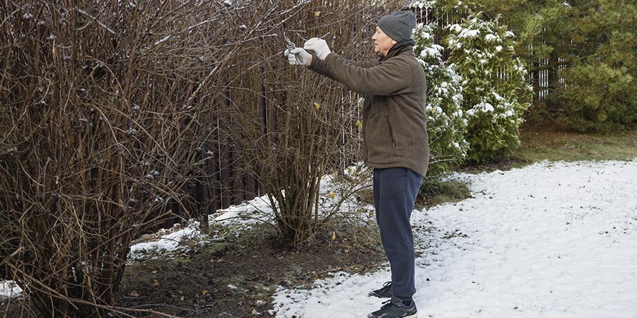    Фото: 123RF.com/svetlanacherruty