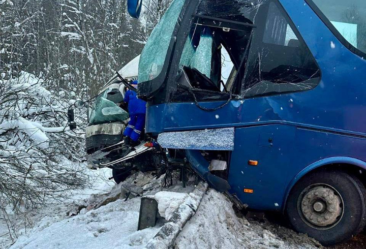 фото: @lenoblast_online