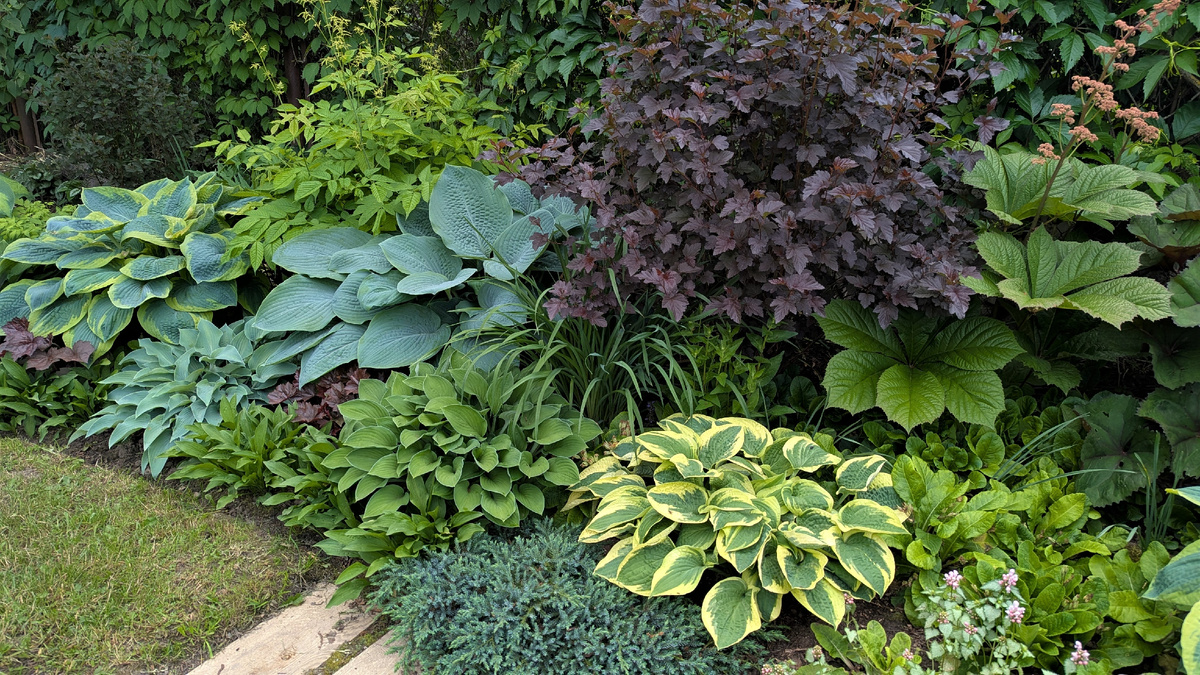 У меня нет старых фотографий этого места. Я и сейчас не люблю фоткать сорняки. Смысл?