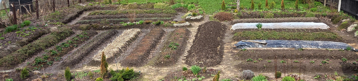 Май  2021 года. Когда я поняла, что грядки буду сокращать. Ровно двадцать лет спустя.