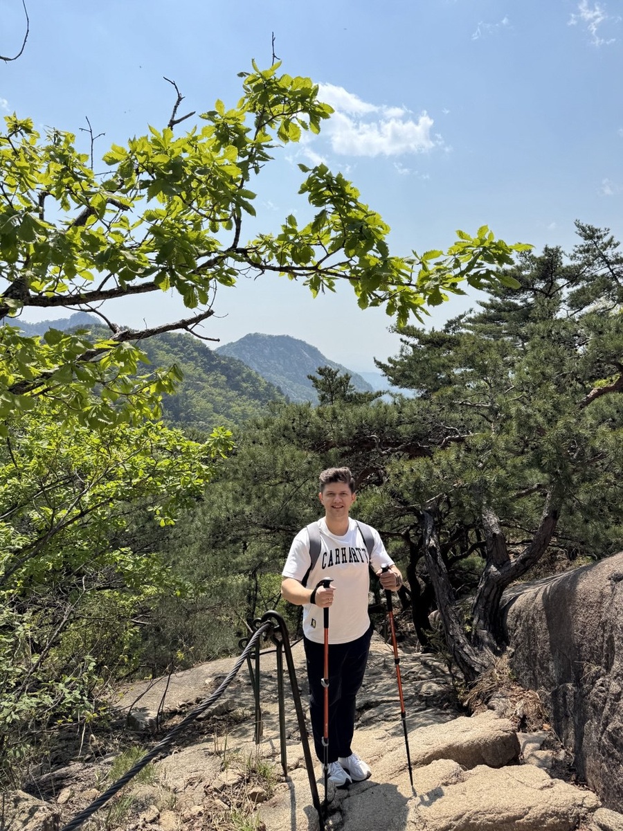 Те самые палки.