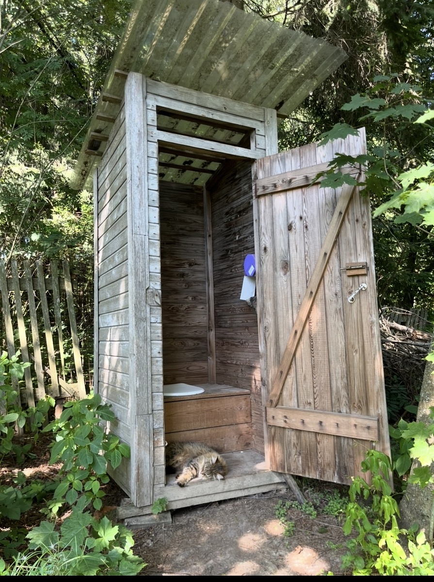 Мой сортир, построенный предыдущими хозяевами