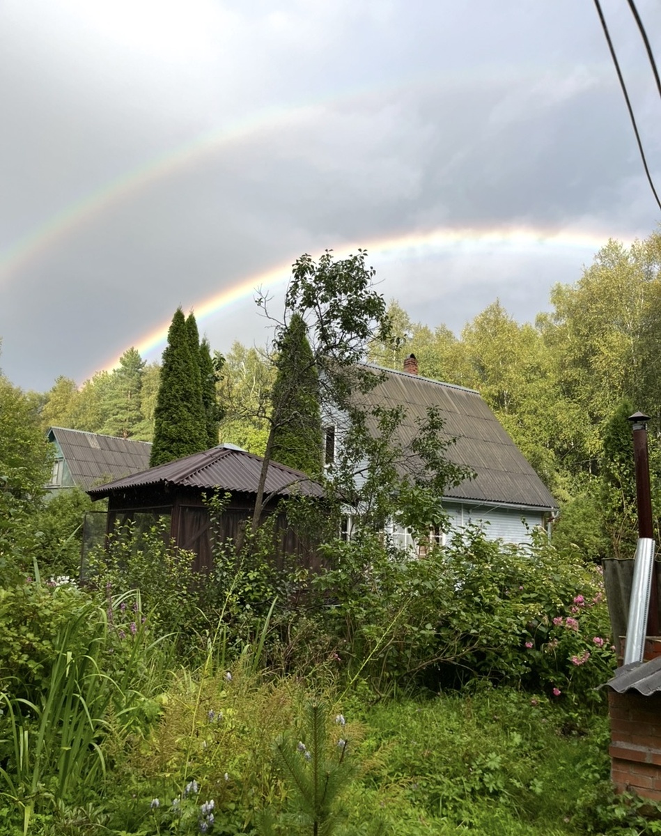 Соседская половина бывшего большого участка