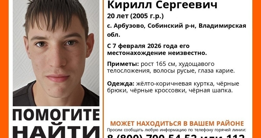 Во Владимирской области развернулись поиски исчезнувшего 20-летнего парня