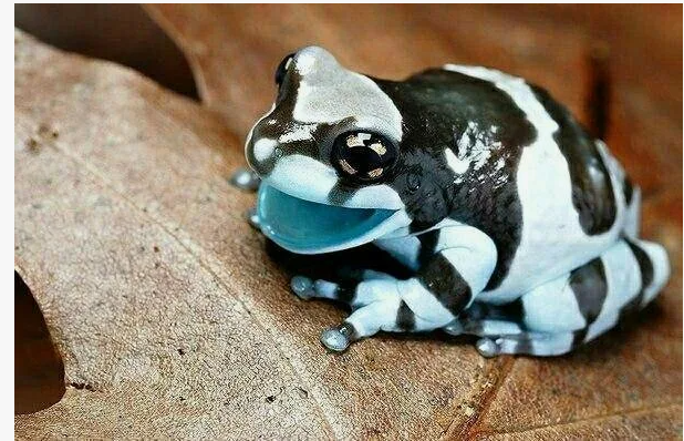 свободный доступ интернет