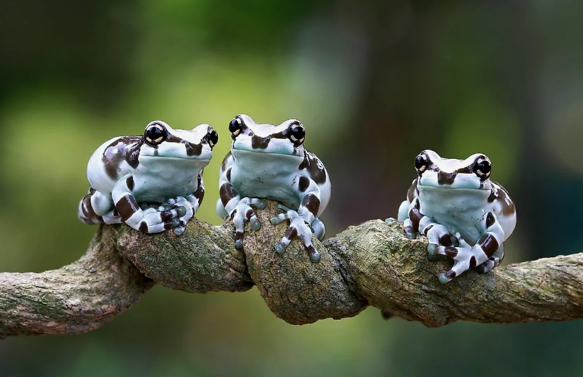 свободный доступ интернет