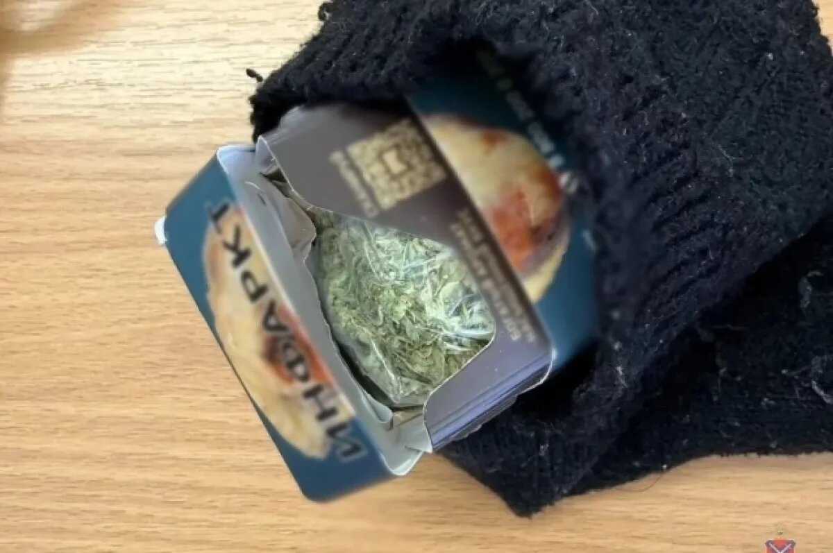    Под Волгоградом собака нашла в автобусе пассажира с наркотиками