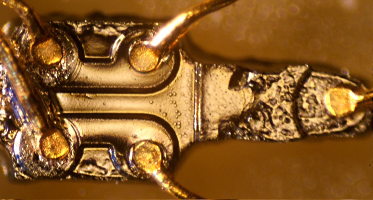 Фото: Википедия