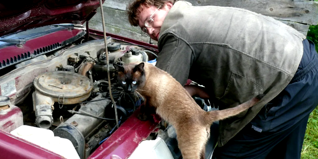 Валера, подай ключ на 12: хорошему коту и авто как товарищ, смешные фото автомастеров с лапками