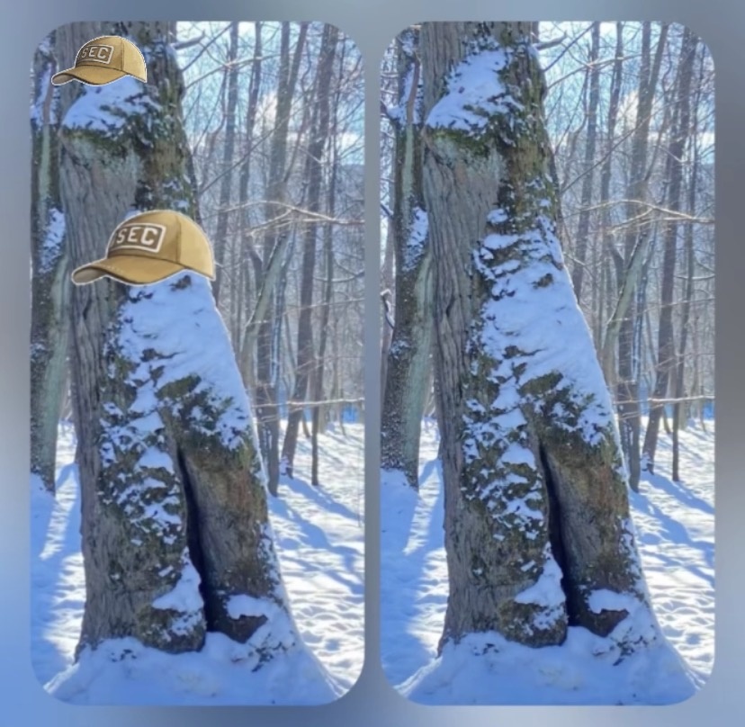 Фото автора и его воображение 