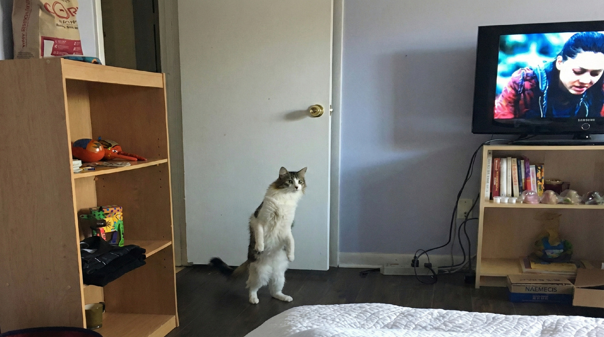 Наташ, привет! Может по чайку?! Еще фото --->>