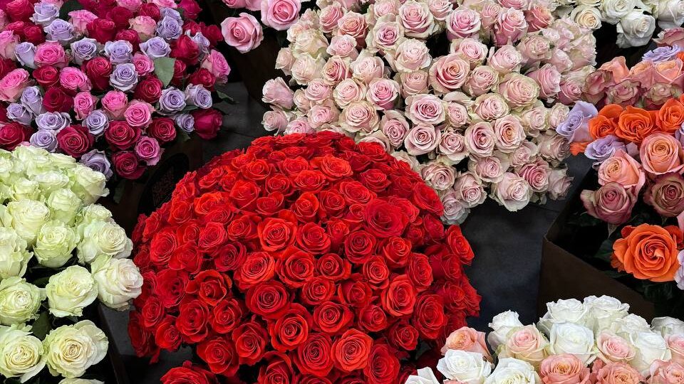 Великолепные розы разных оттенков специально для неё