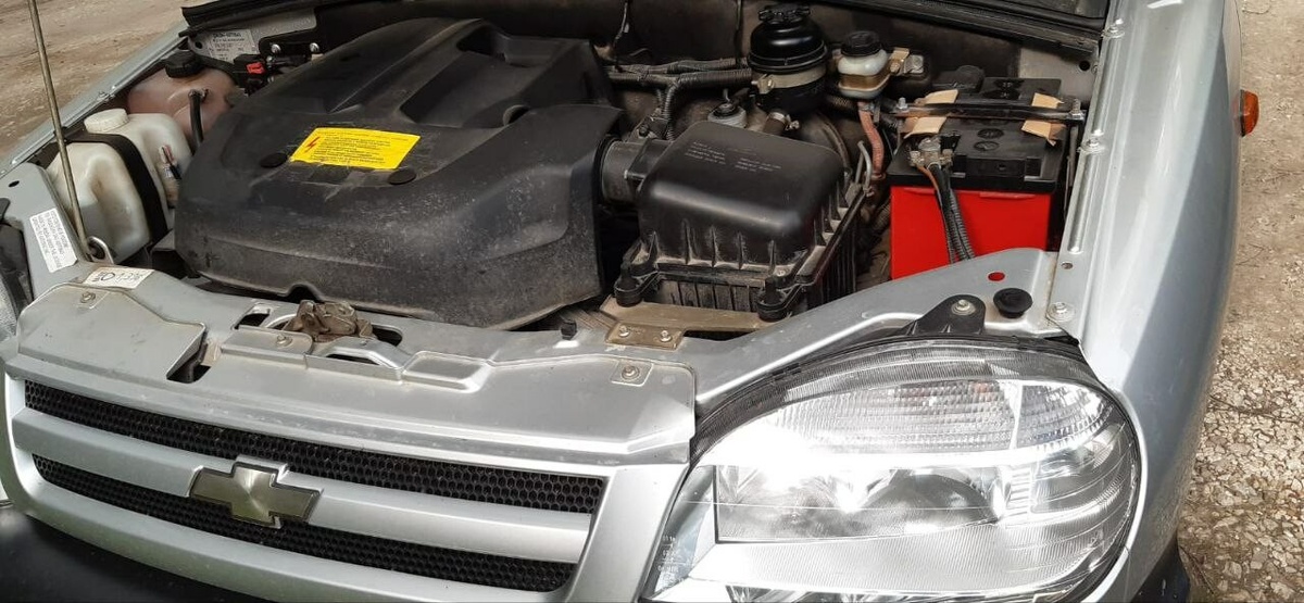     Фото: "Бриф24"