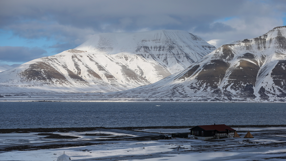    Автор фото: Сергей Савостьянов/ ТАСС