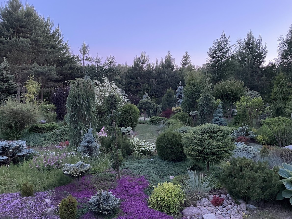 2024 июнь полночь 