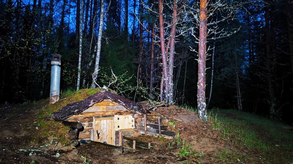 фото отсюда https://avatars.dzeninfra.ru/