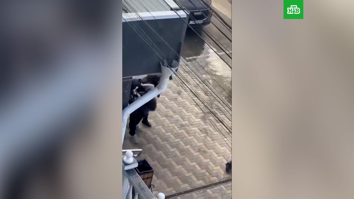    Стрельбу в Анапе устроил студент: кадры задержания