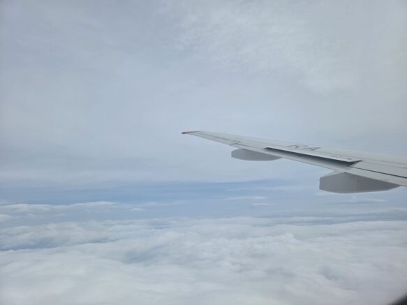    Фото: Элина Болдырева / Югополис