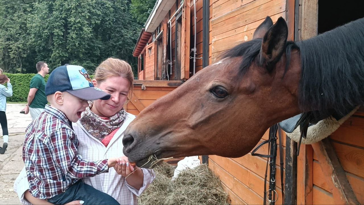 Максим с восторгом кормит лошадку