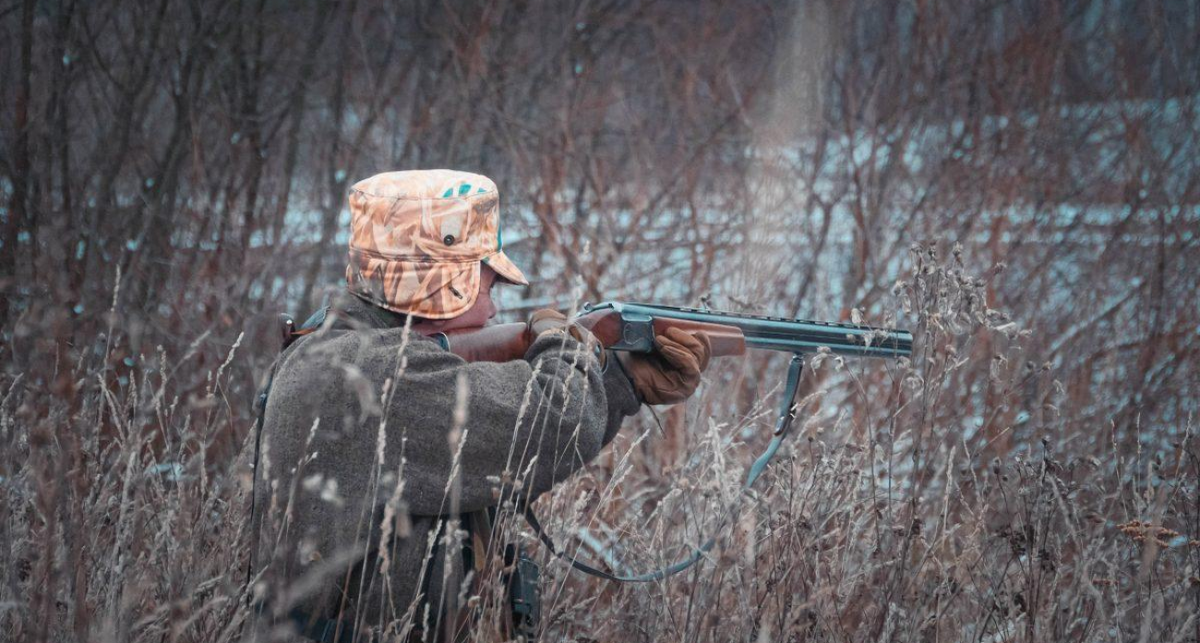    Минлесхоз Нижегородской области с сайта files.pravda-nn.ru