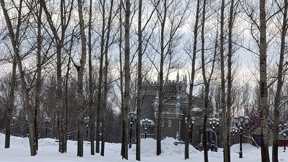 Интернет, дзен и работа