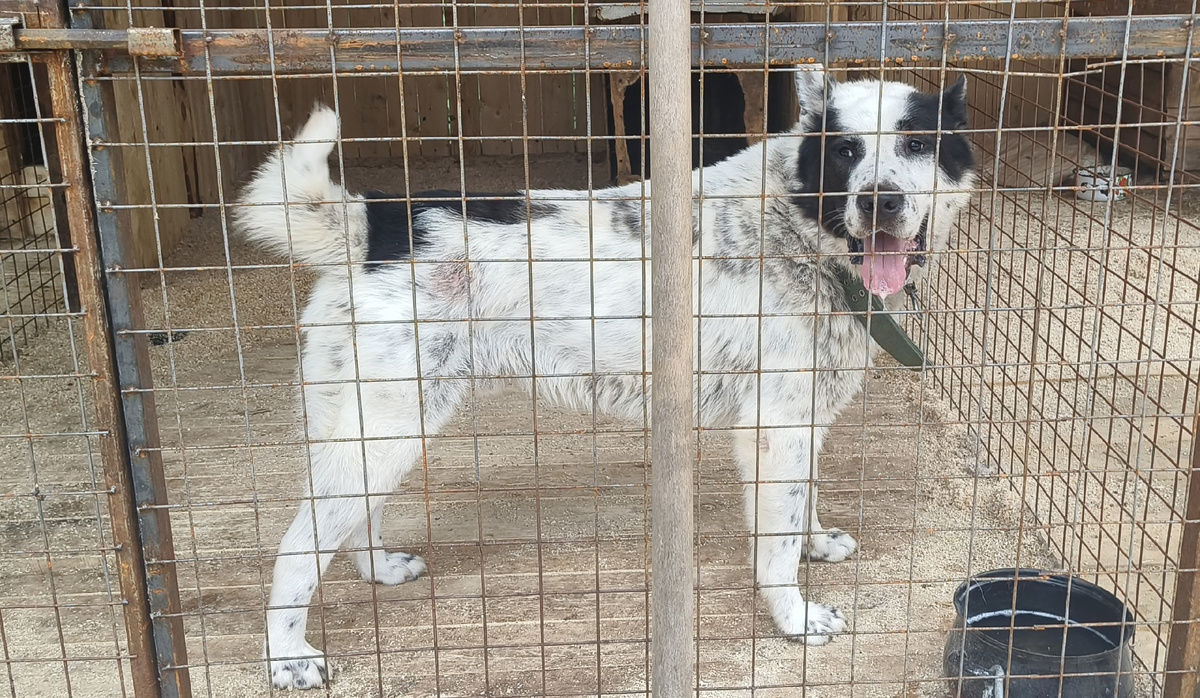 Миша собственной персоной 