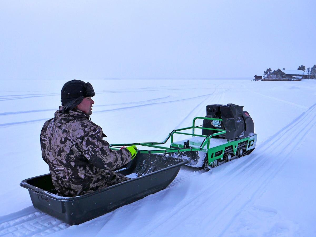 Мото-собака...