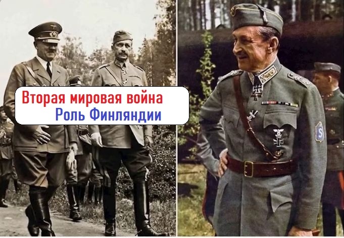 Роль Финляндии во Второй мировой войне? Роль Зимней войны с СССР при выборе стороны.