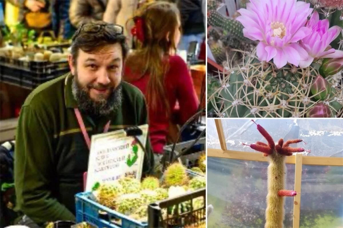    Алексей Гайдес и его кактусы.