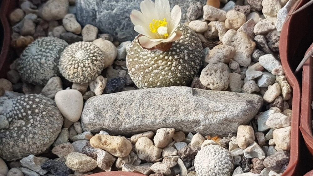    Фото из личного архива героя публикации