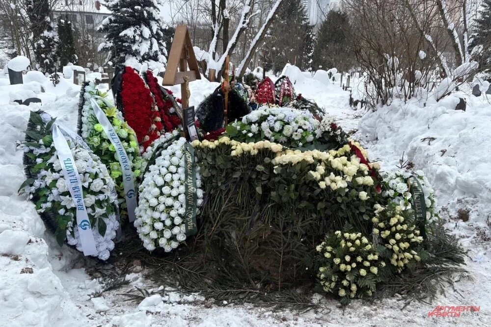    Фото: АиФ/ Егор Борзов