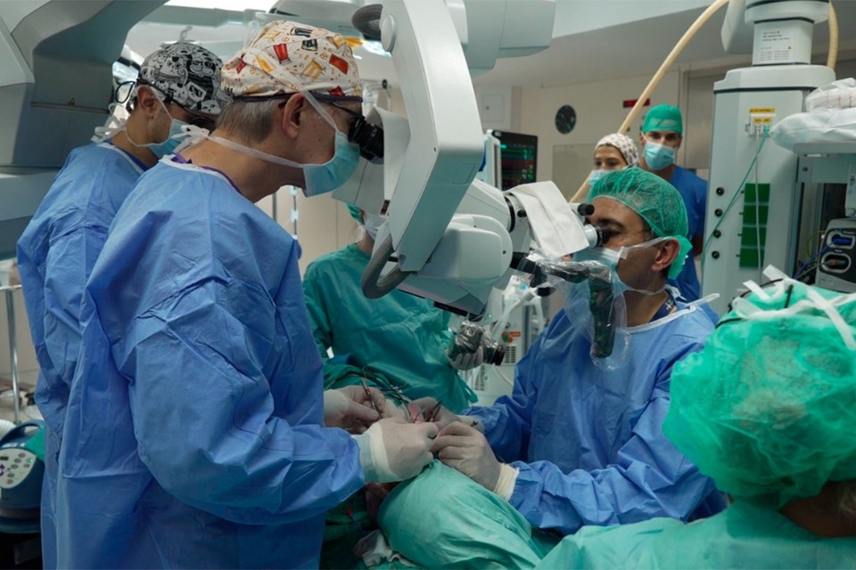    Фото: vallhebron.com