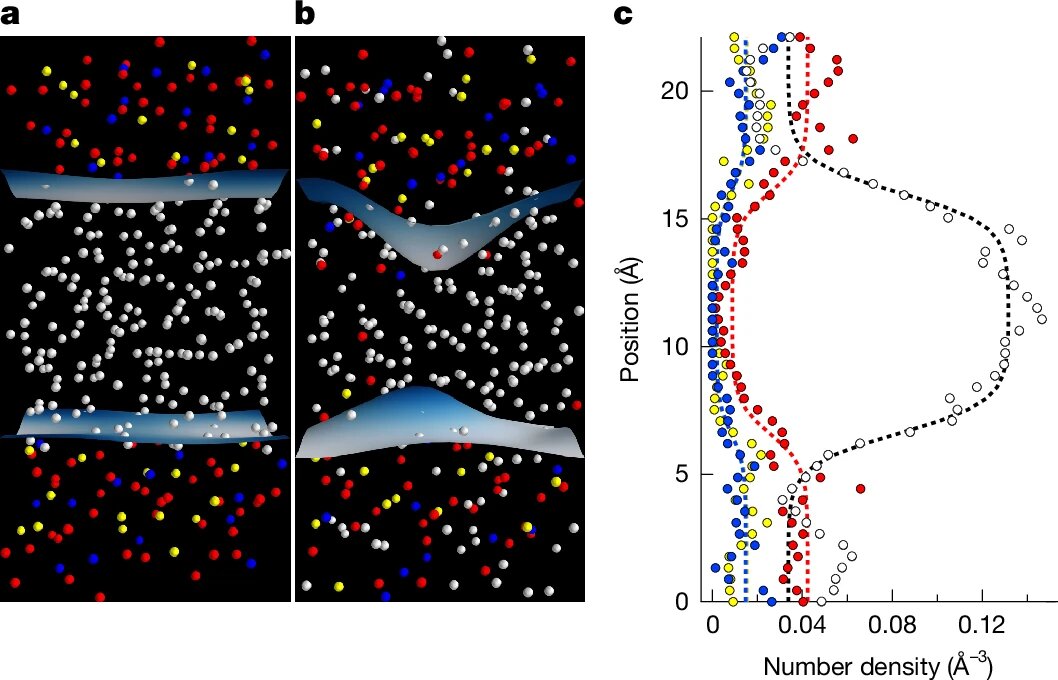 a,b, Снимки из моделирования сосуществования фаз при 10 ГПа и 2500 К: начальное состояние (a) и фрагмент уравновешенной части (b). H - белый; Mg - жёлтый; Si - синий; O - красный;  с - профиль плотности для уравновешенной части (символы, окрашенные в соответствии с типами атомов).