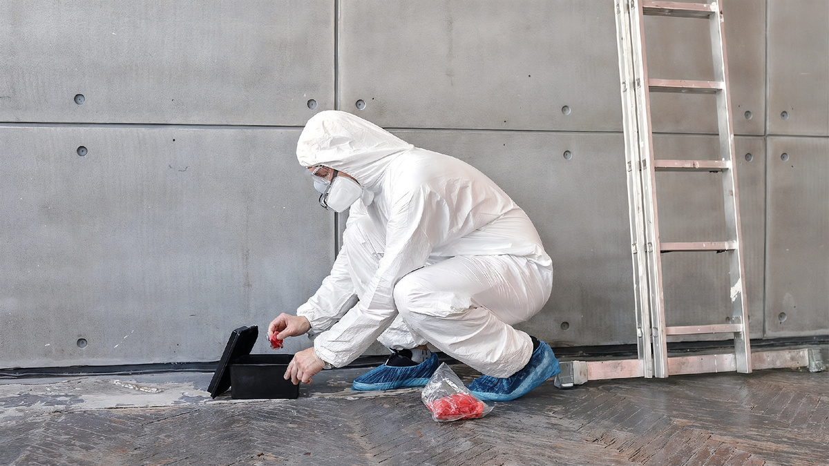 Истребительные дератизационные мероприятия