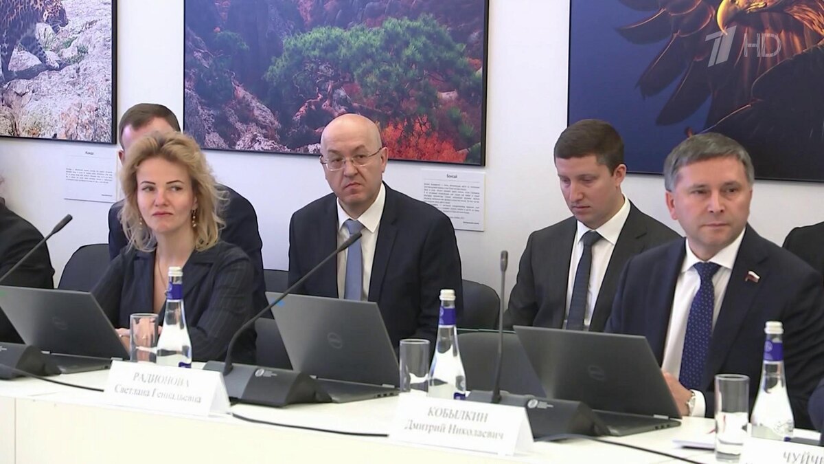    Первый канал