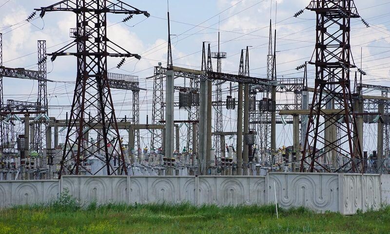    Фото Виктории Перевязко, «Кубань 24»