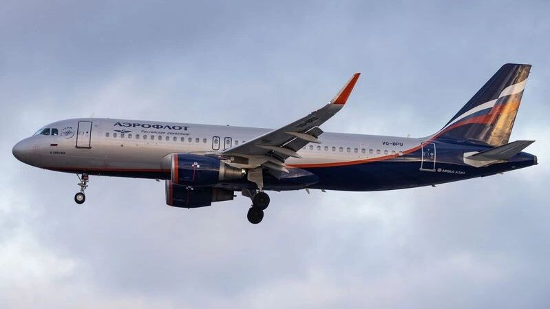    Фото: Kevin Hackert/Shutterstock/Fotodom