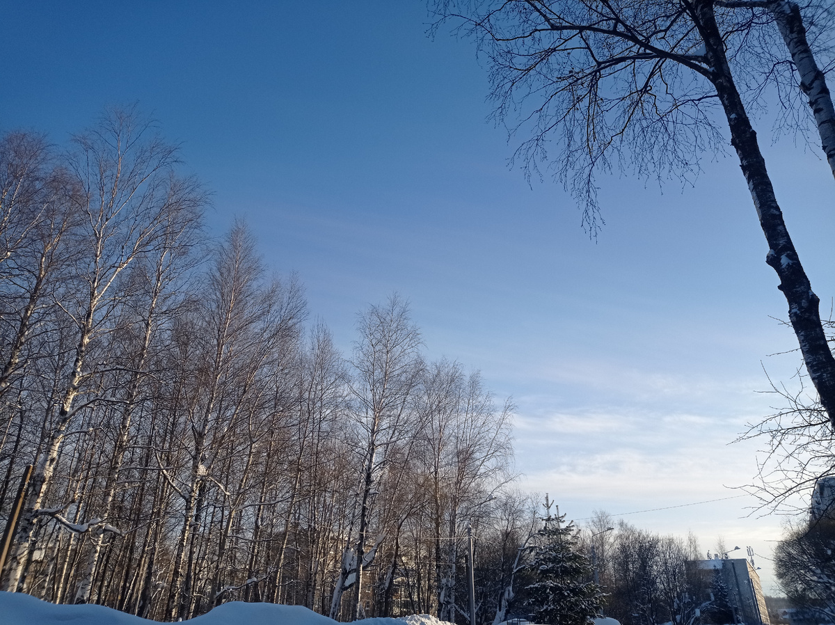 Дни красивые, морозные стоят