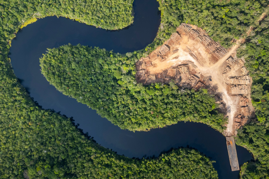    Shutterstock/FOTODOM