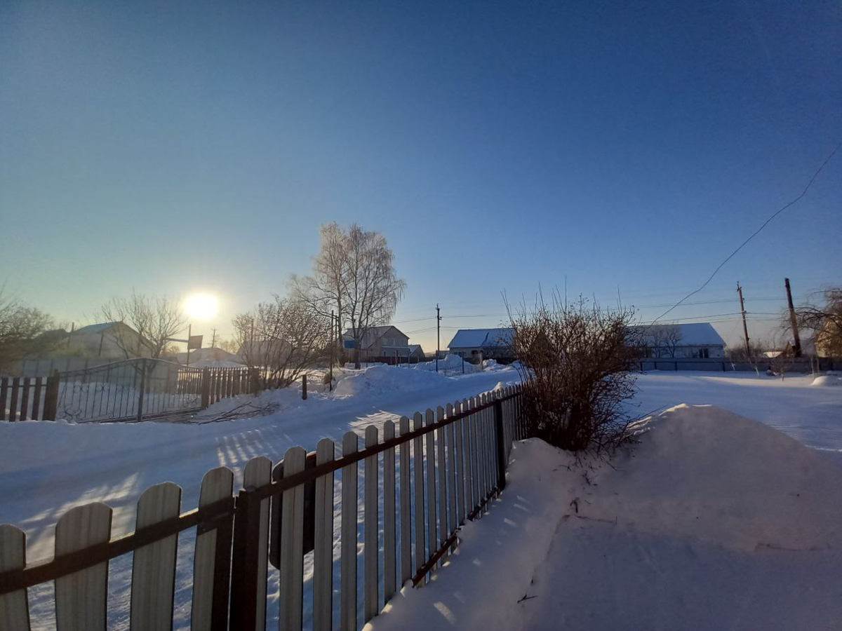 Февральское утро. Фото автора.