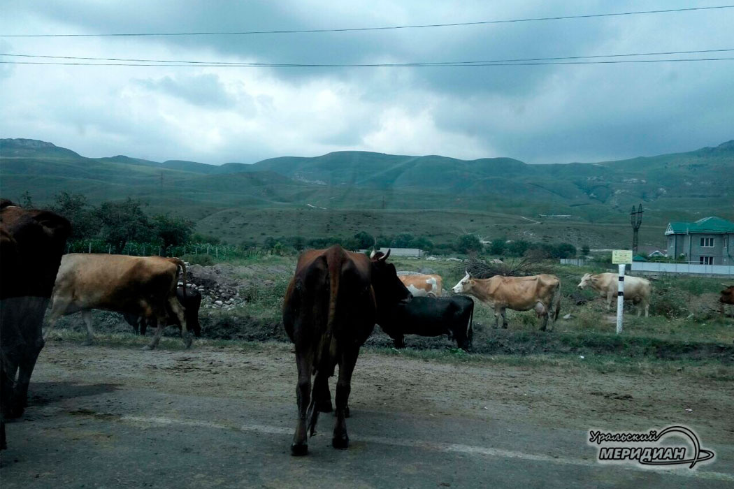    Фото: © ИА "Уральский меридиан"