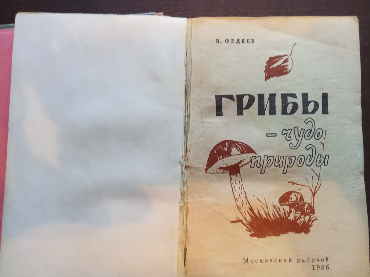 Фото Андрея Куликова