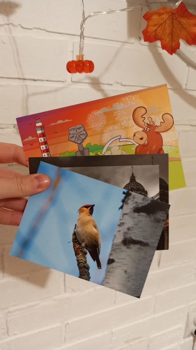 Фото автора